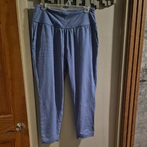 Prana Womens Blue Striped Casual Pants